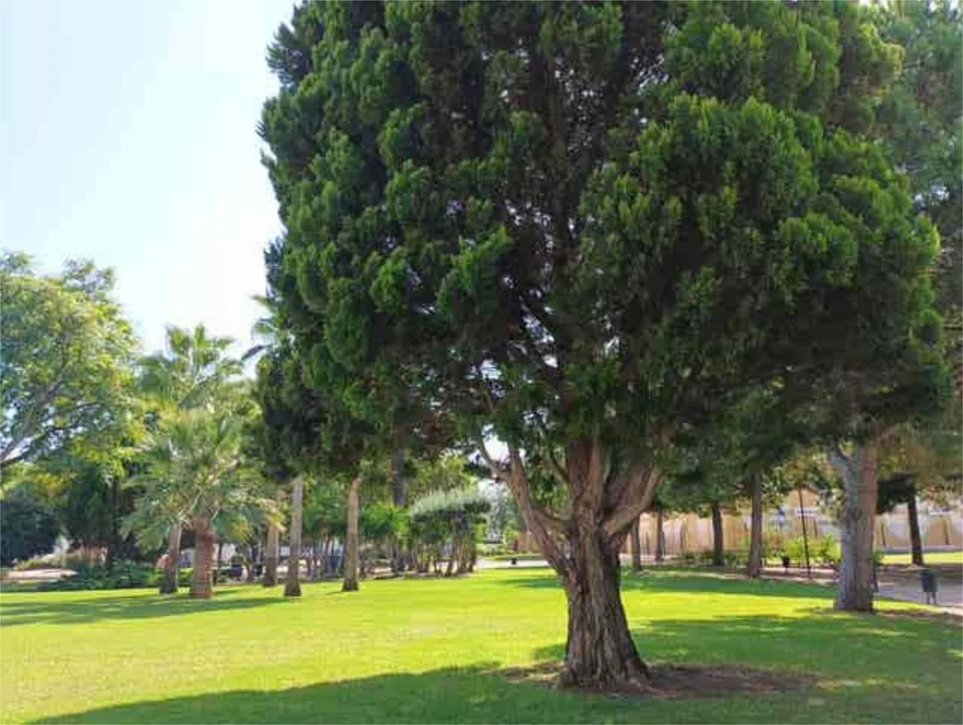 Piso en Parque Central Paterna - Foto 1