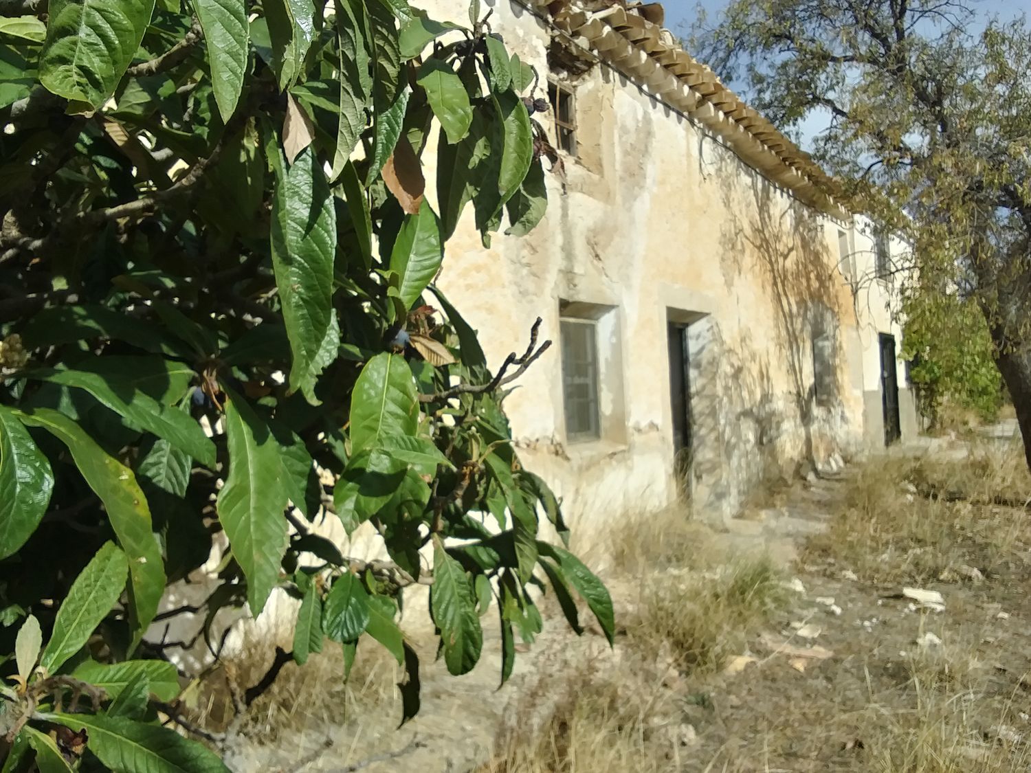 Finca rústica en Carretera Gr-9101, 3 km - Foto 4
