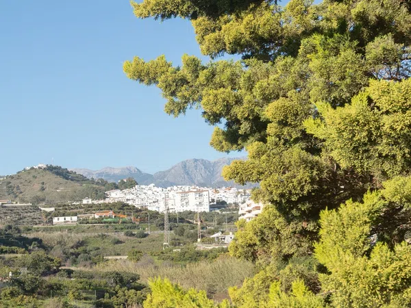 Chalet pareado en Calle Fuente Cambil, 3, Torrox Pueblo, Torrox Pueblo - Foto 34