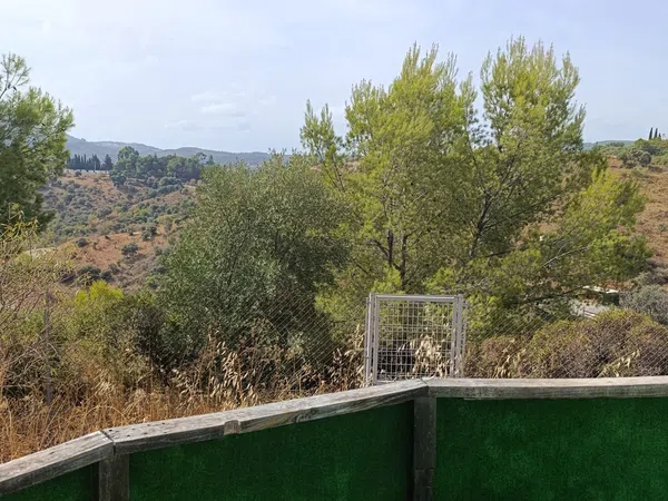 Finca rústica en Partida el Rincón, 13 - Foto 7