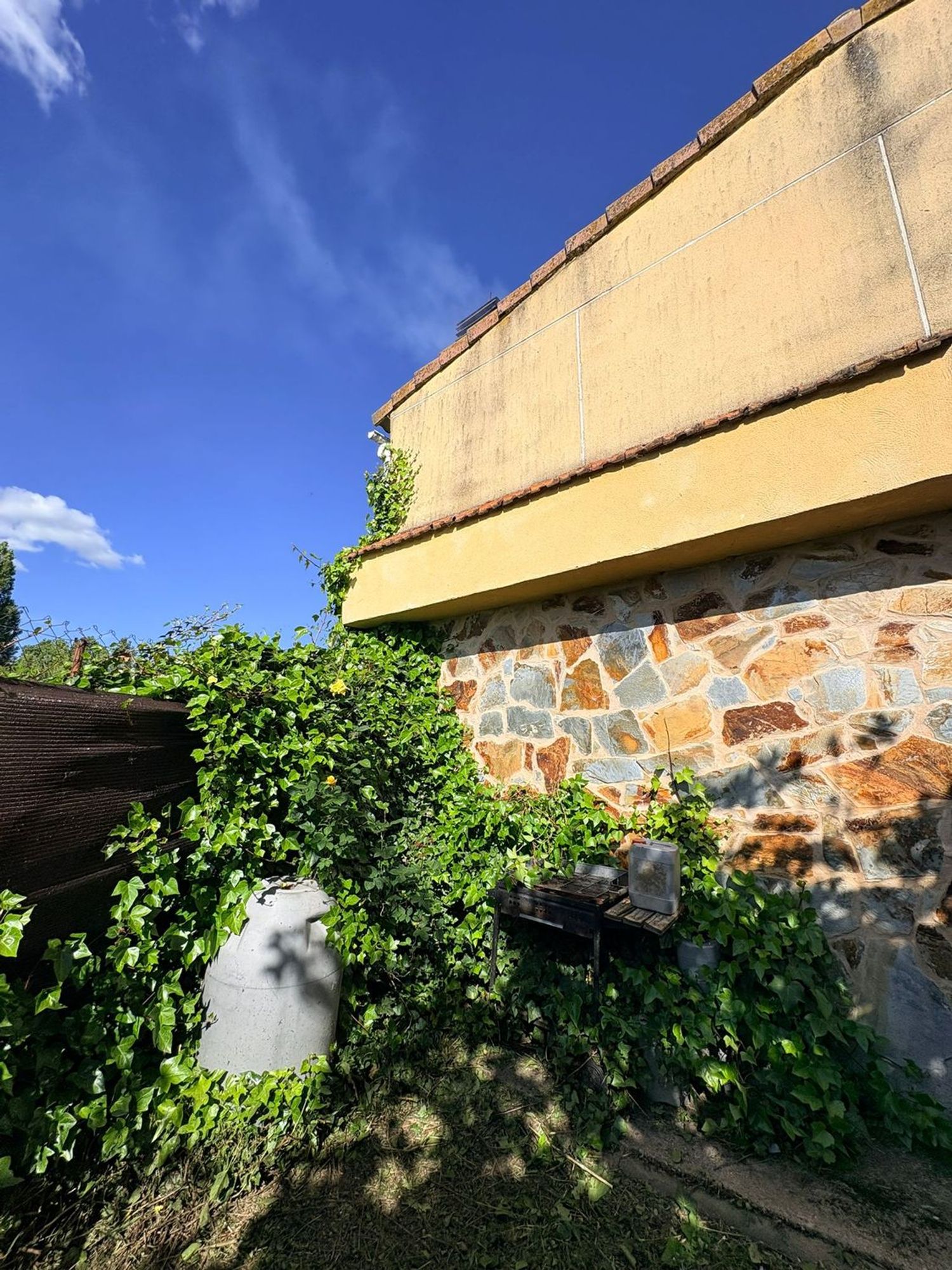 Finca rústica en Diseminado Bodegas, 1 - Foto 3