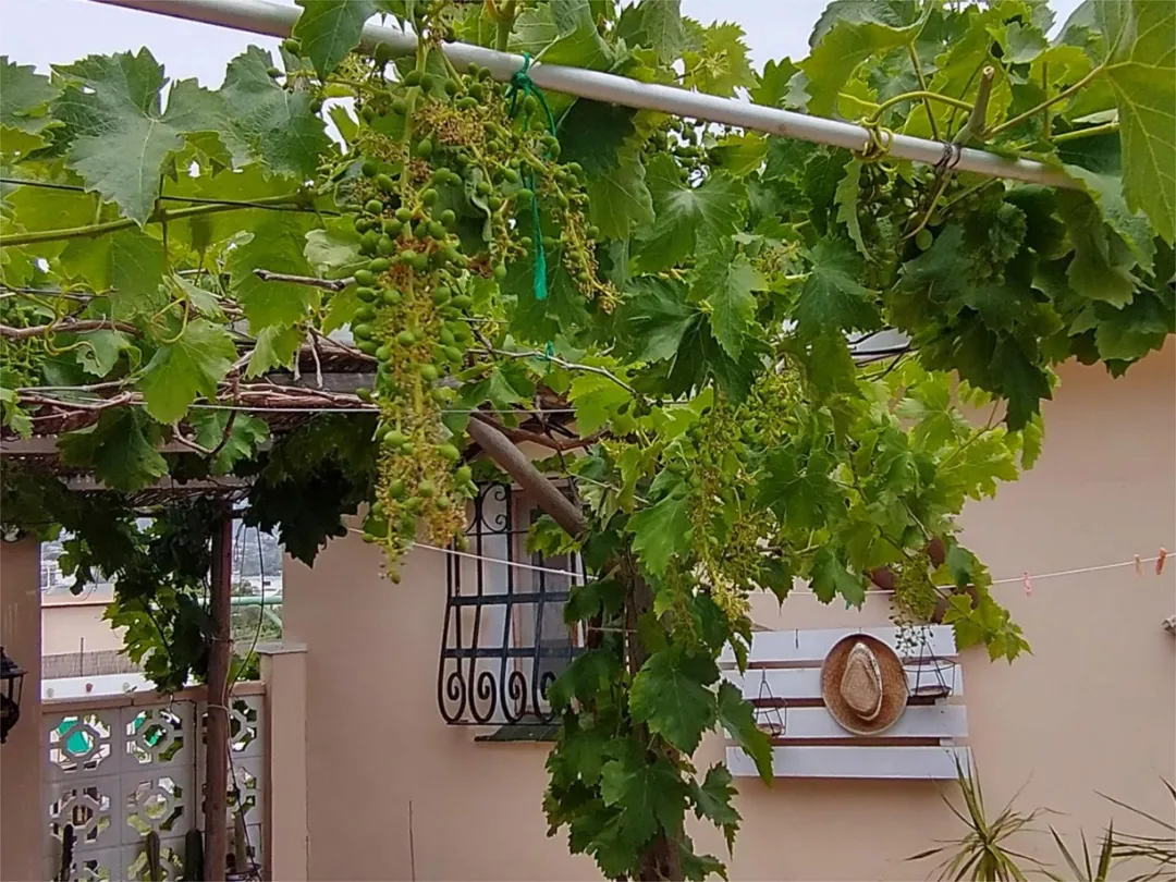 Chalet en  Calle las Buganvillas 27 - Foto 17