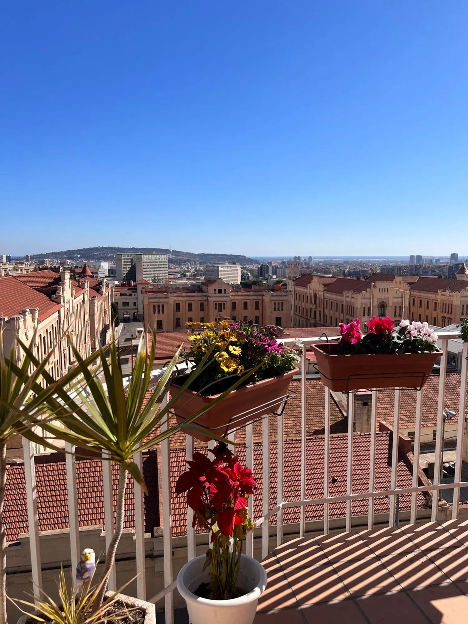 Estudio en calle de Sor Eulàlia d'Anzizu, 11 - Foto 3