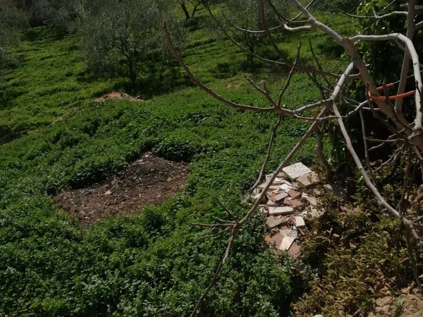 Casa rural en Barriada Don Ramón, 19, Diseminados - Foto 26
