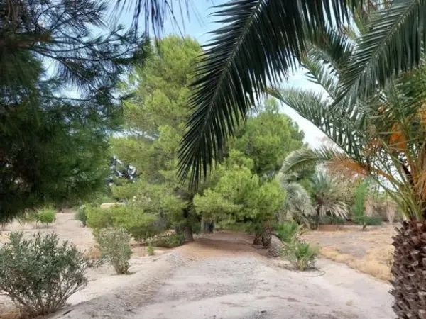 Cortijo en Cortijo en Rambla de Partaloa s/n - Foto 15