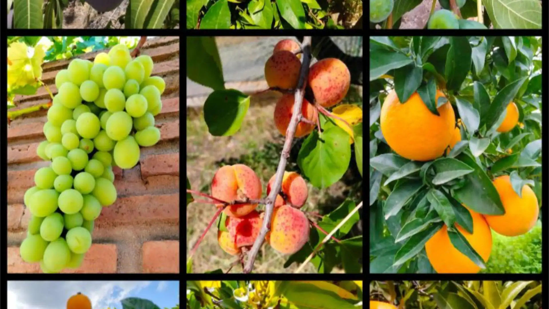 Chalet en  Carretera 188 - Foto 28