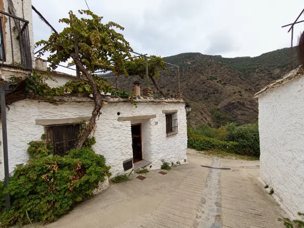 Casa de pueblo en Calle Barranco Agrio, 16 - Foto 40