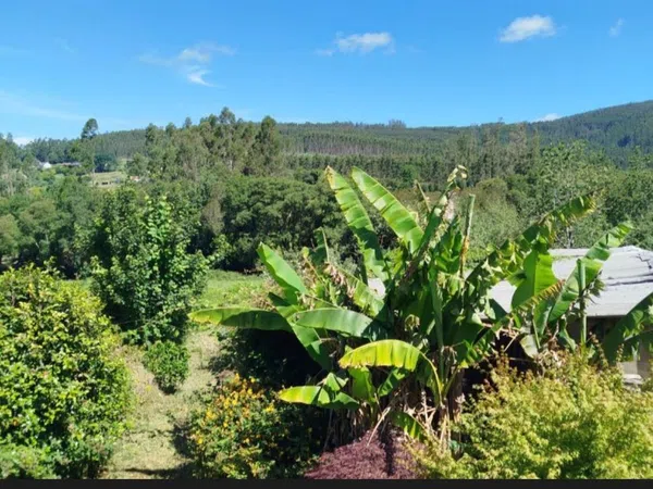 Finca rústica en A felgueira s/n - Foto 4