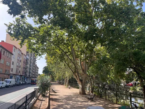 Piso en Via de Ramón Pignatelli, 51, Pinares de Venecia - Foto 13