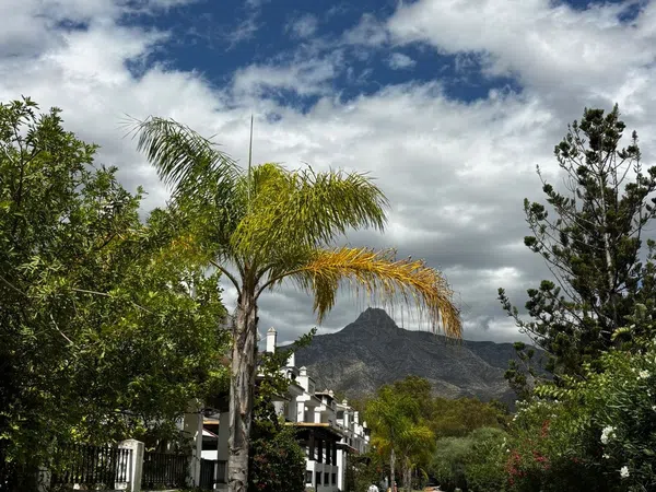 Chalet pareado en Urb. Los Naranjos de Marbella, 8 - 15, La Dama de Noche-La Alzambra - Foto 2