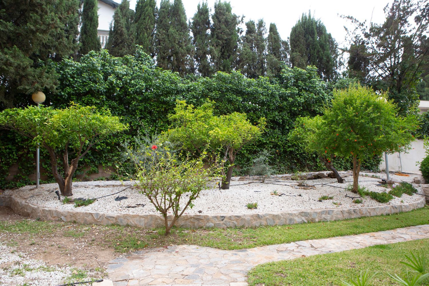 Piso en calle Olivos, 17 - Foto 15