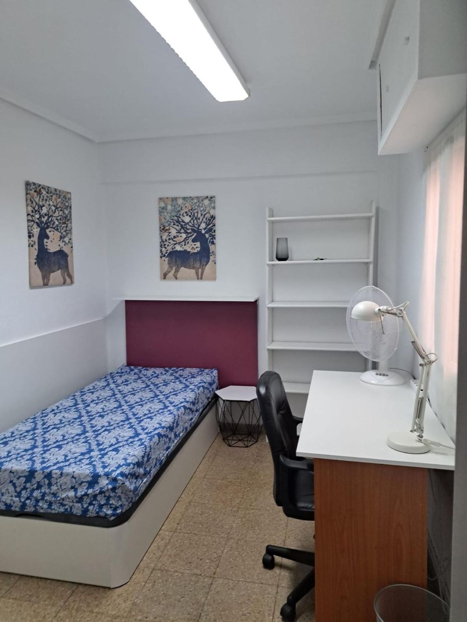 Piso en Calle d'Isabel la Catòlica, 38, Zona Concordia, Zona Concordia - Foto 12