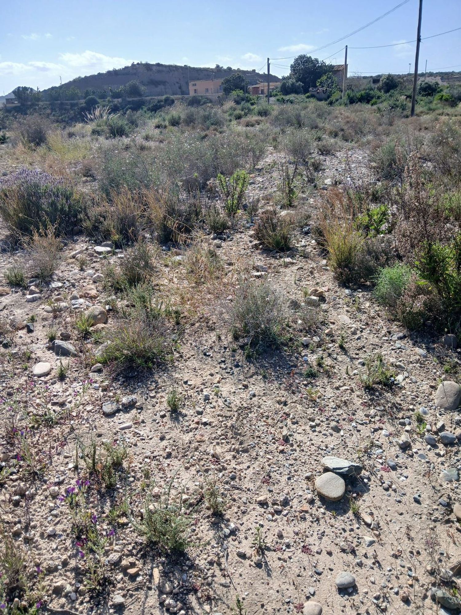 Cortijo en Barriada las Cunas s/n - Foto 10