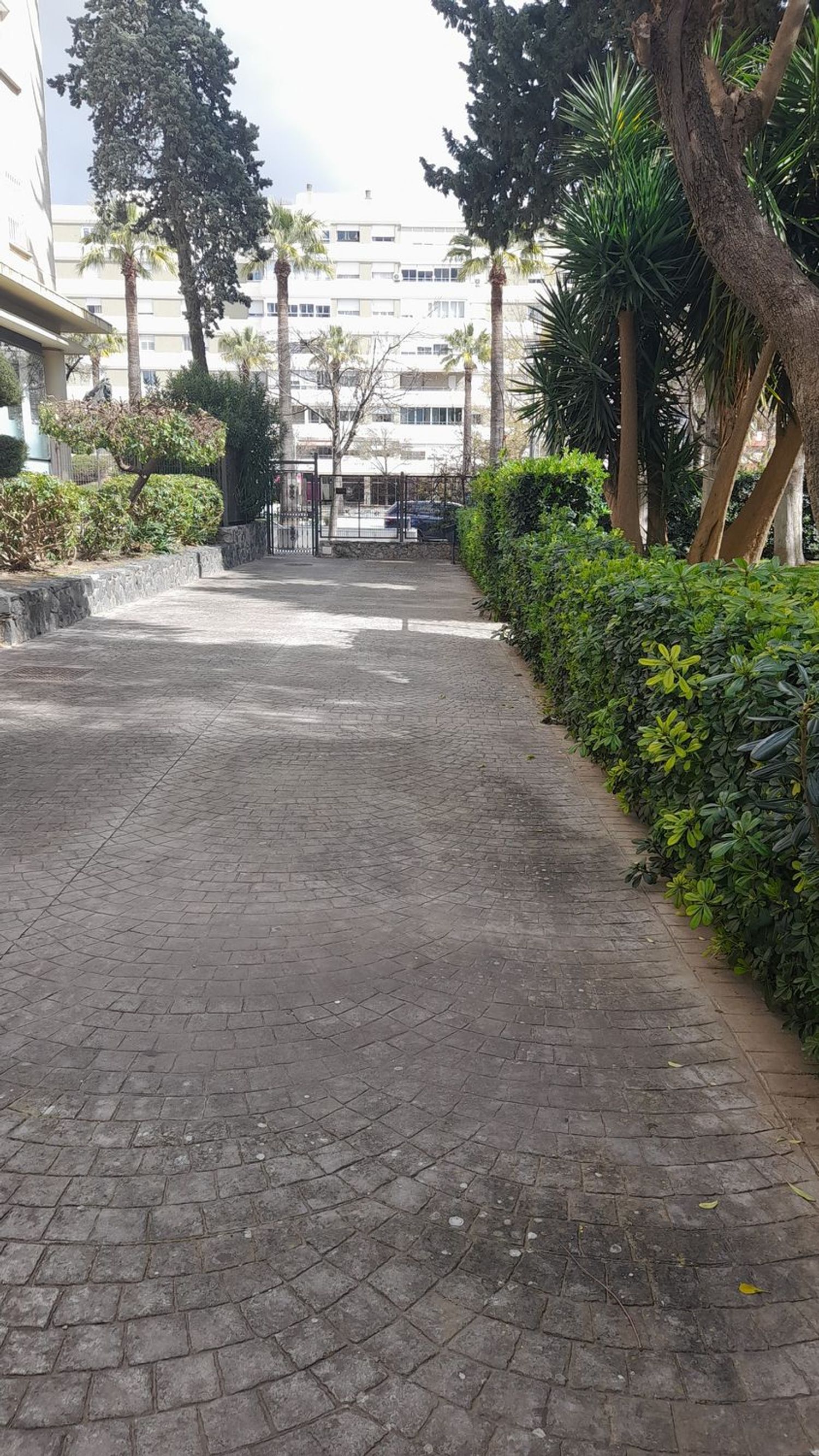 Piso en plaza del Caballo, 1 - Foto 35