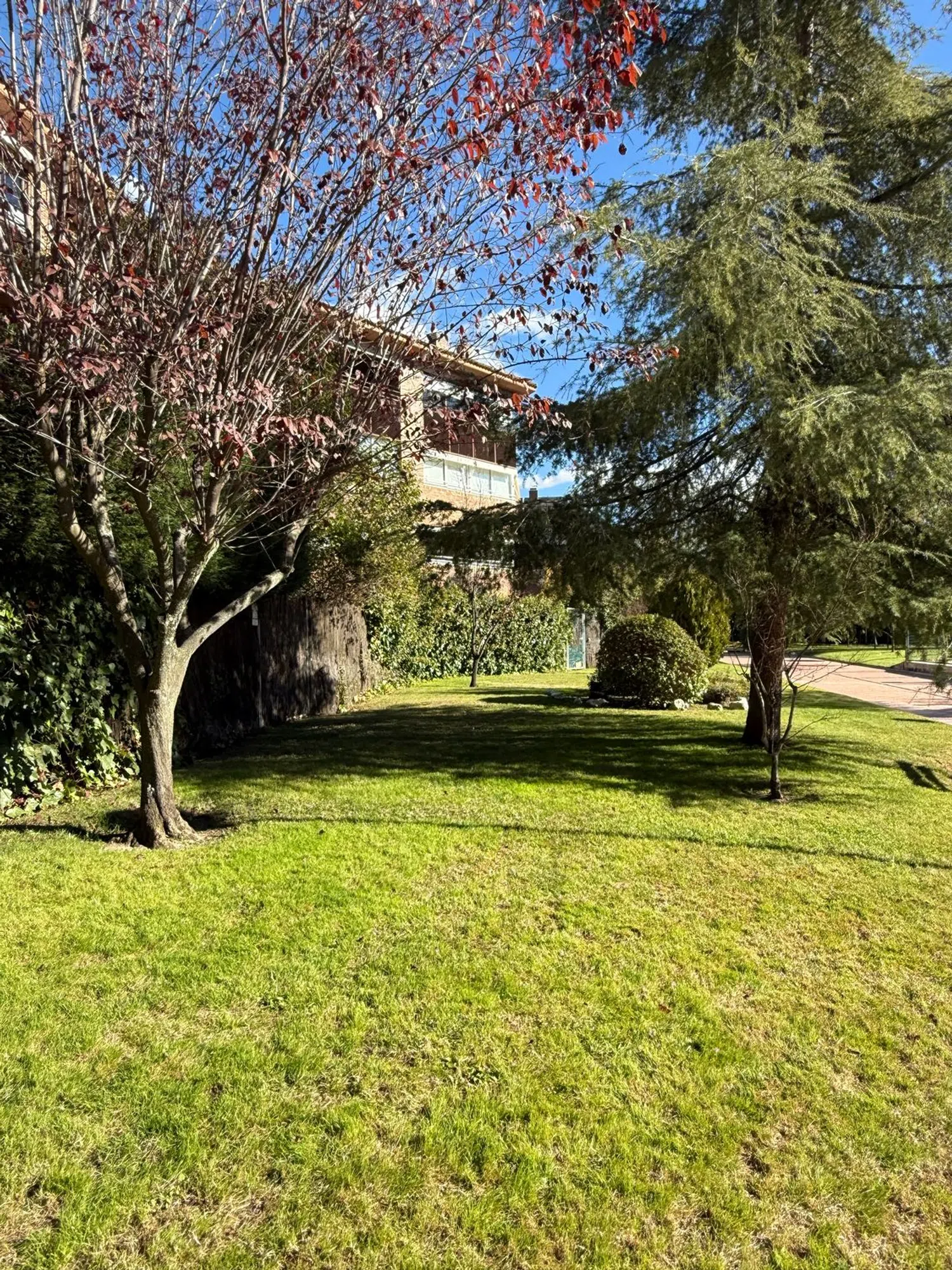 Piso en calle Isaac Albéniz, 19 - Foto 21