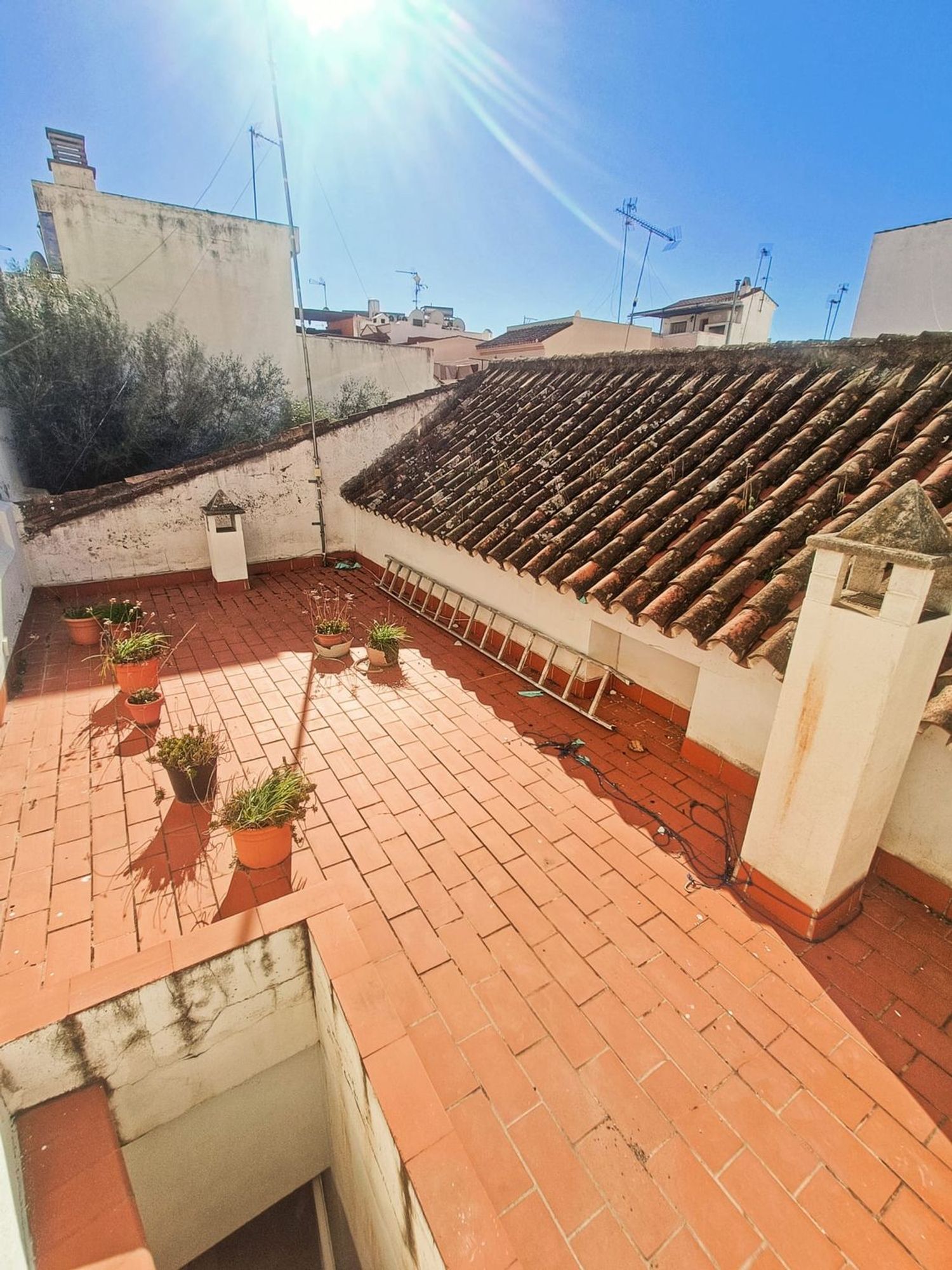 Casa o chalet independiente en Calle Ramón y Cajal, 24, Centro - Foto 15