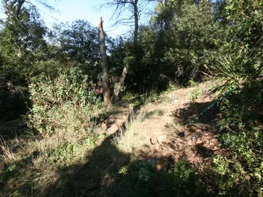 Terreno Residencial en  Carrer de la Carena Llarga 7 - Foto 3