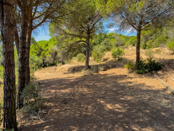 Masía en Masía en Diseminado Veinat de Sant Daniel, 104, Mas Mora - Sant Daniel, Mas Mora - Sant Daniel - Foto 21