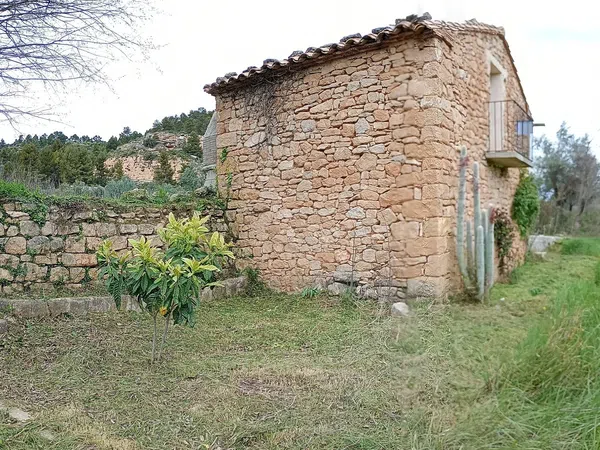 Finca rústica en Te-v-3001 s/n - Foto 4
