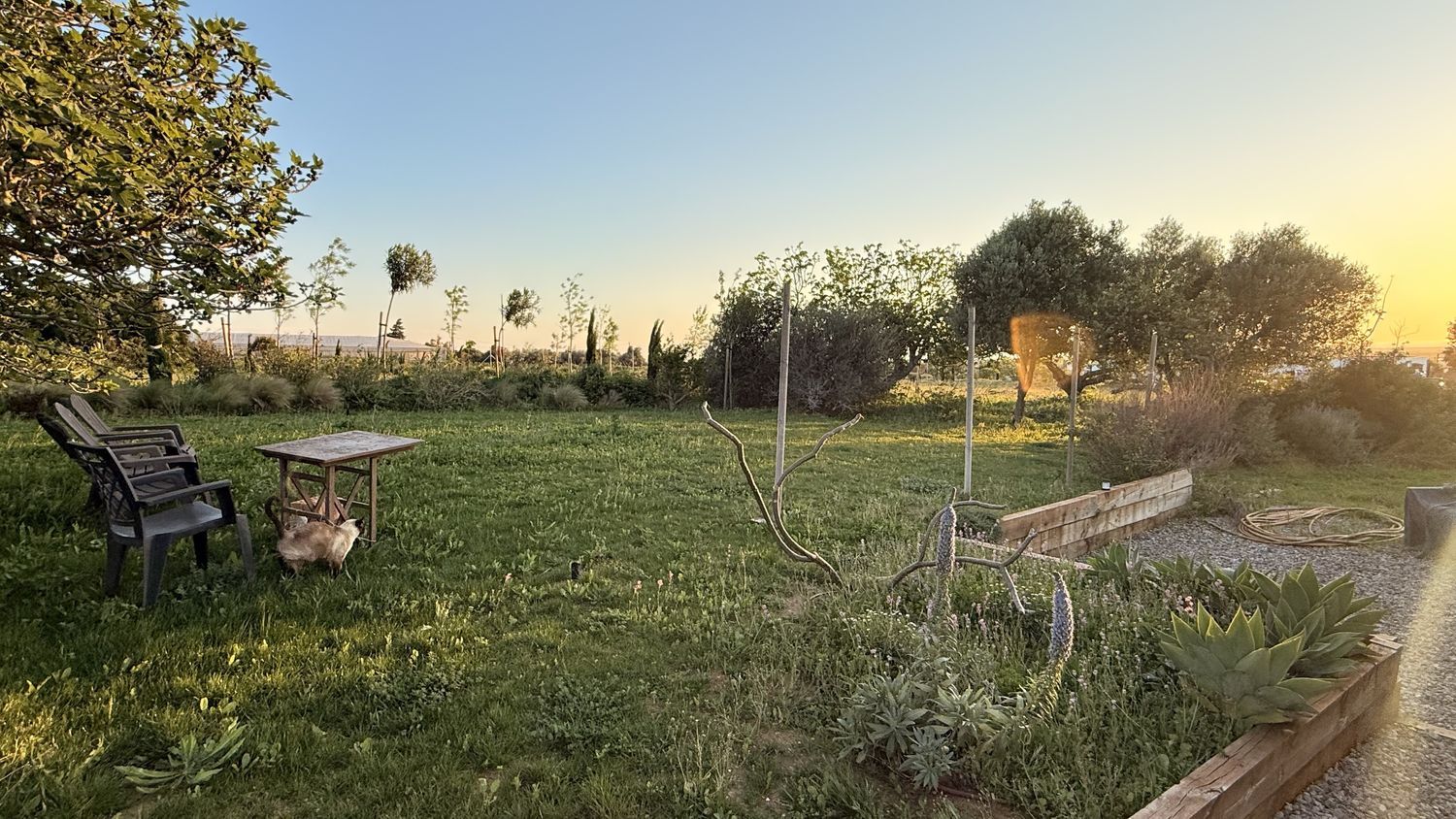 Finca rústica en Ca-4201 s/n, Barrio Nuevo, Barrio Nuevo - Foto 7