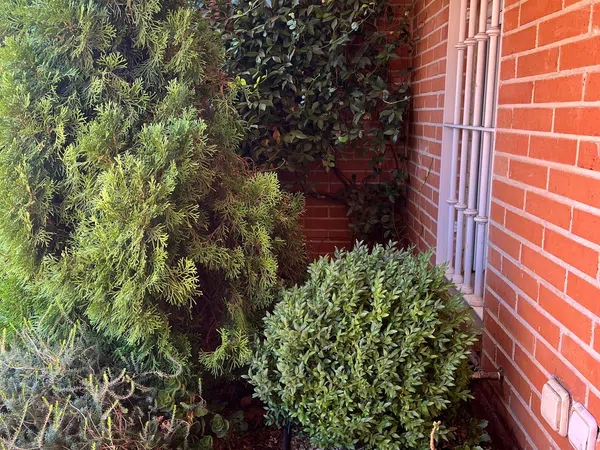 Chalet adosado en calle de Arévalo Lara, 41 - Foto 4