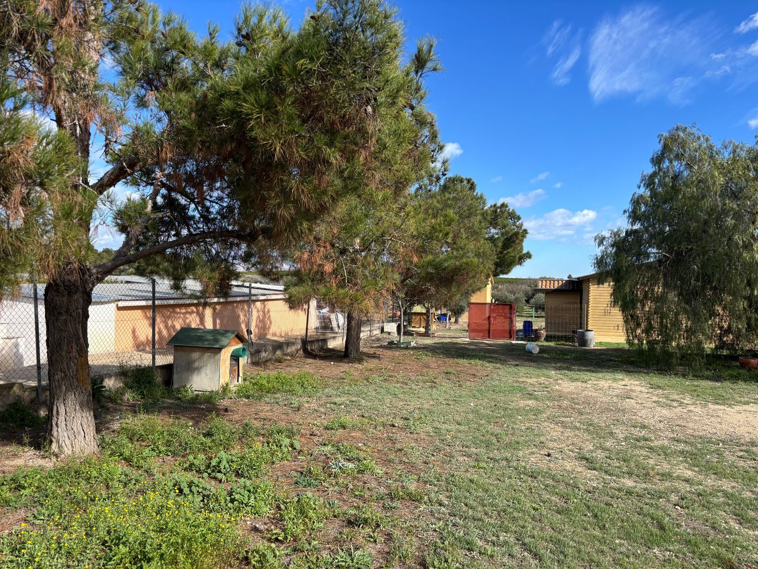 Finca rústica en calle Fc Ladrillo, 11 - Foto 1