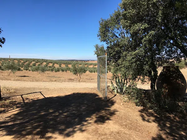 Finca rústica en Camino de las Alcobillas s/n - Foto 3