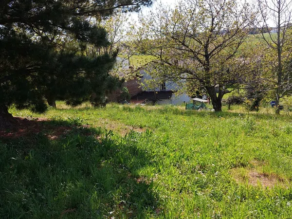 Casa o chalet independiente en Ca-313, 5, Escobedo, Escobedo - Foto 3