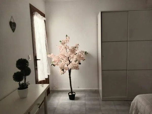Chalet adosado en Avenida Deva, 81, La Siesta - El Salado - Torreta - Foto 22