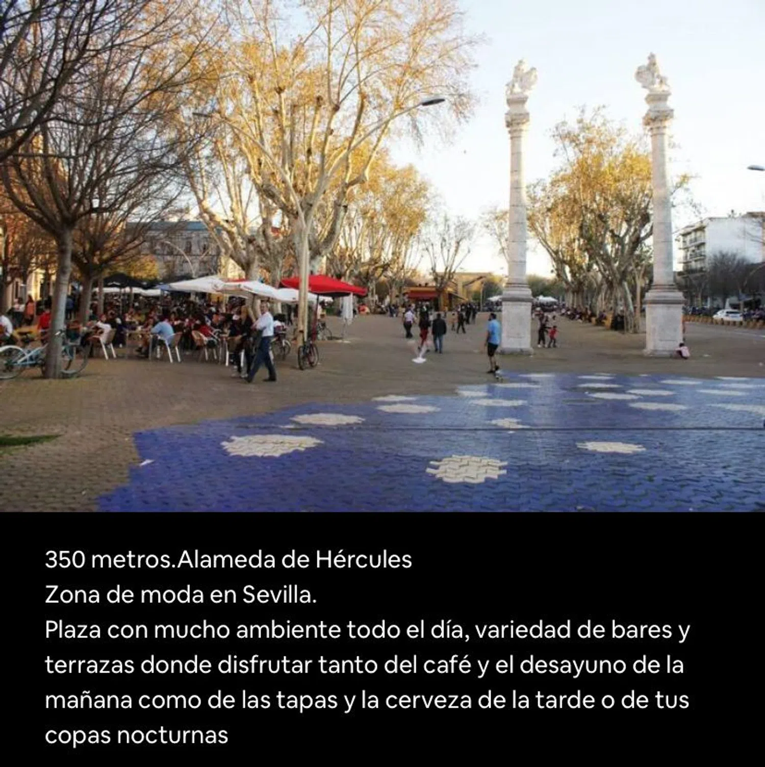 Estudio en calle Divina Pastora, 5 - Foto 17