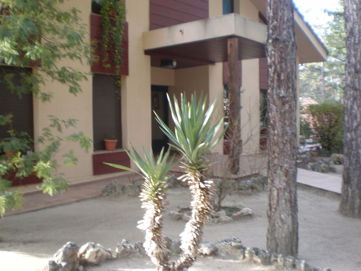 Piso en Calle Pinar, 2, Abantos - Carmelitas, Abantos - Carmelitas - Foto 39