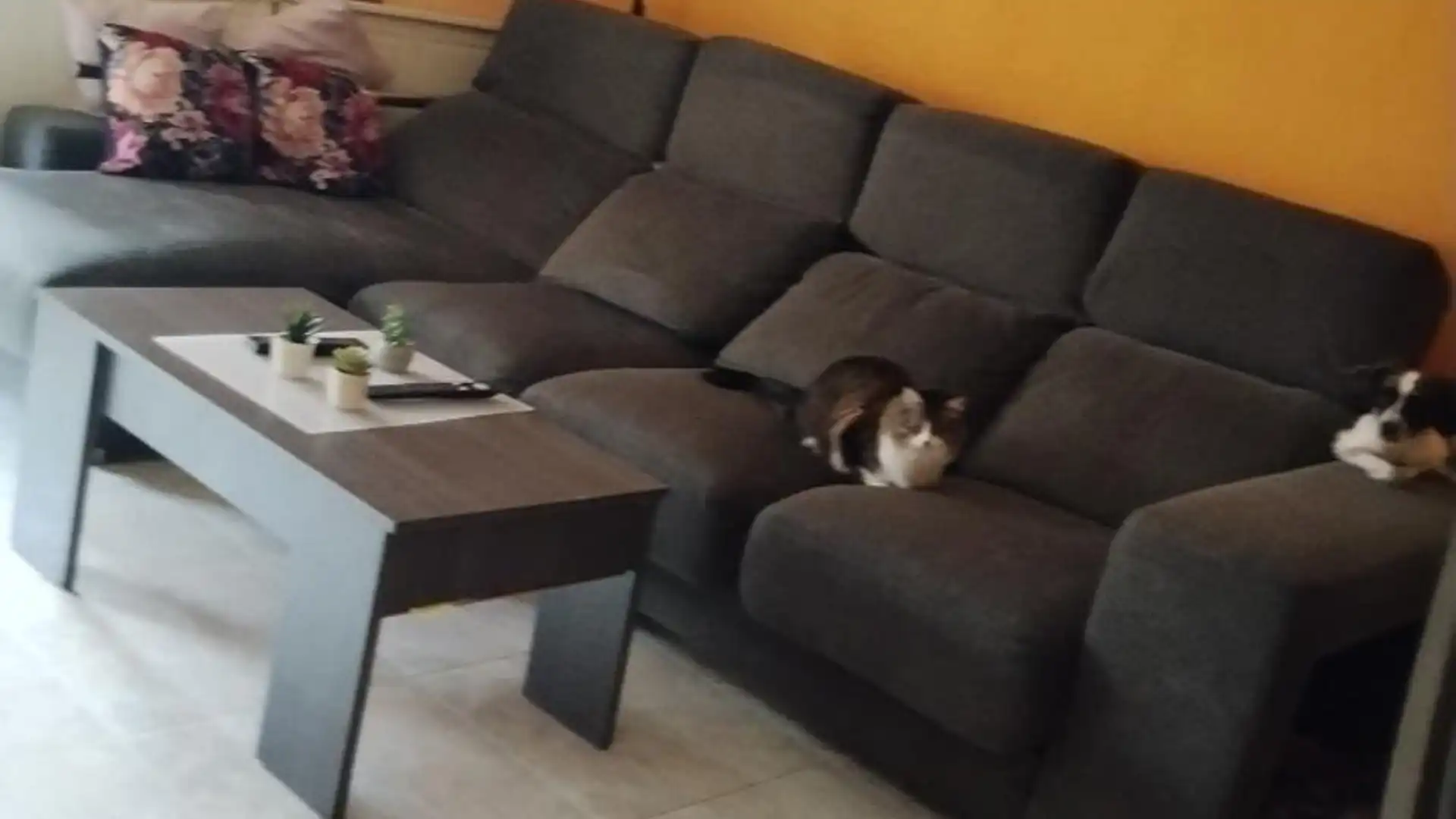 Piso en  Calle Rio Duero 62 - Foto 4