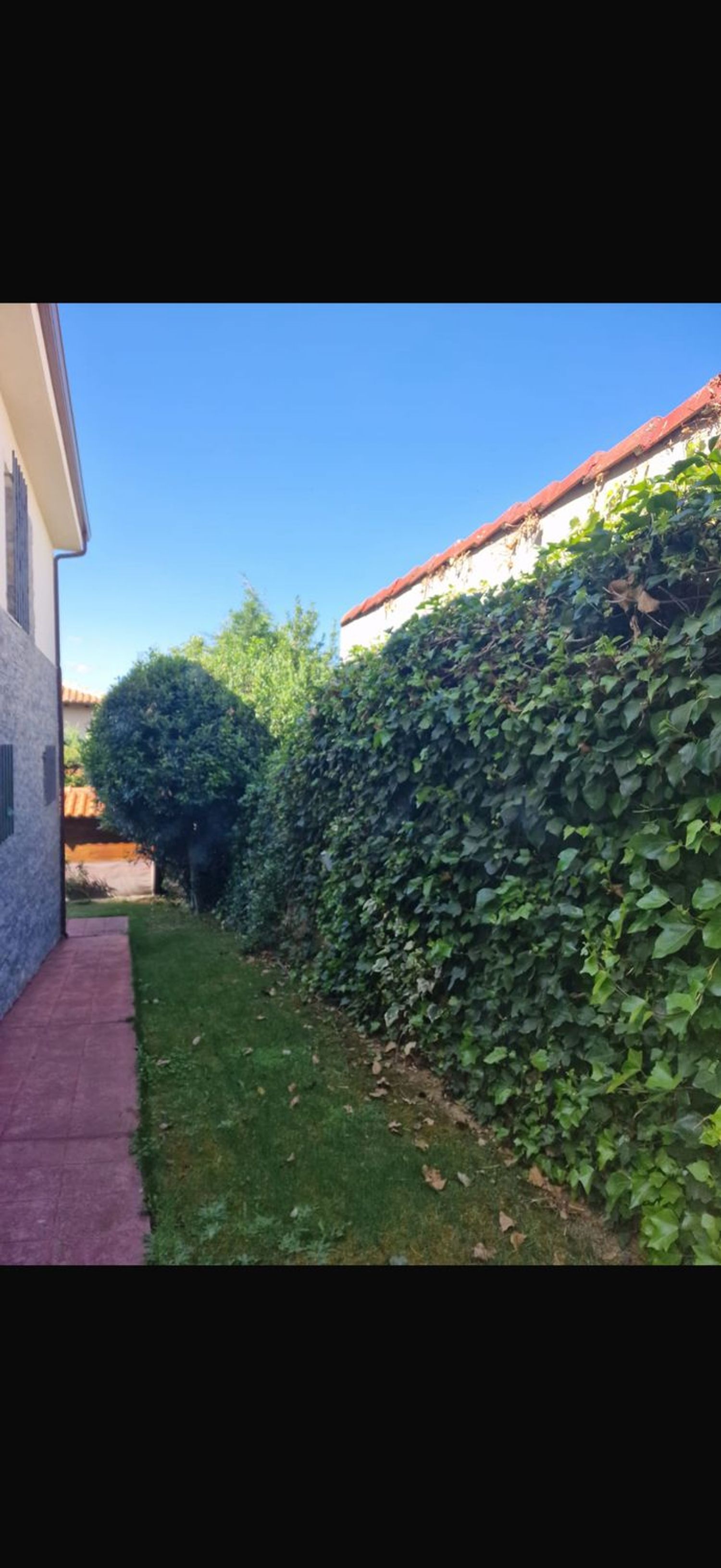 Casa o chalet independiente en Calle Cervantes, 28 - Foto 23