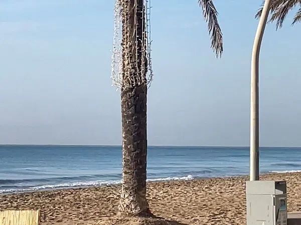 Piso en avenida Mossèn Jaume Soler, 14 - Foto 15