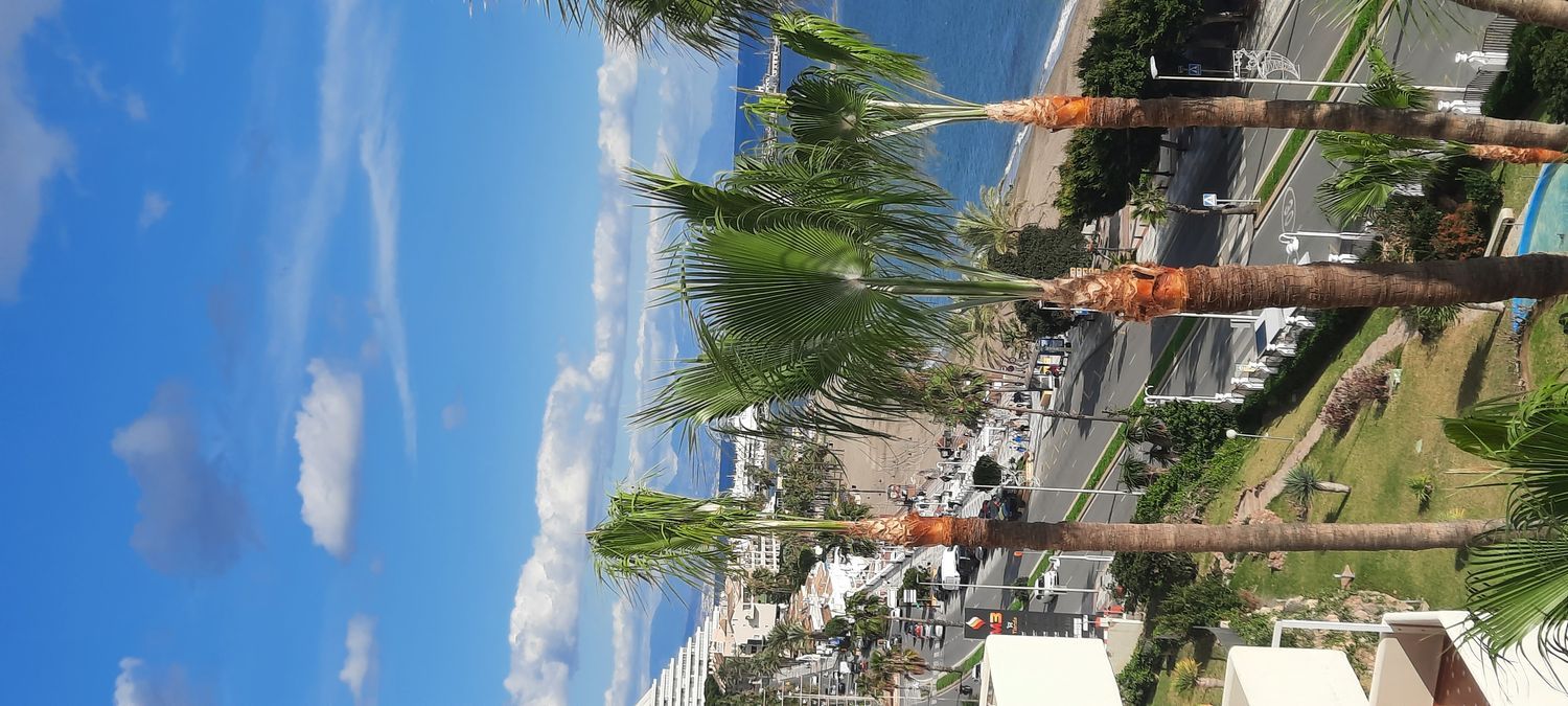 Estudio en avenida del Parque, 3 - Foto 31