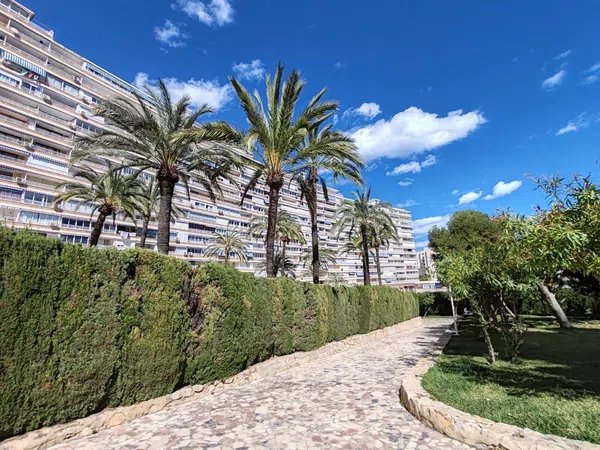 Piso en avenida Benidorm, 18 - Foto 6