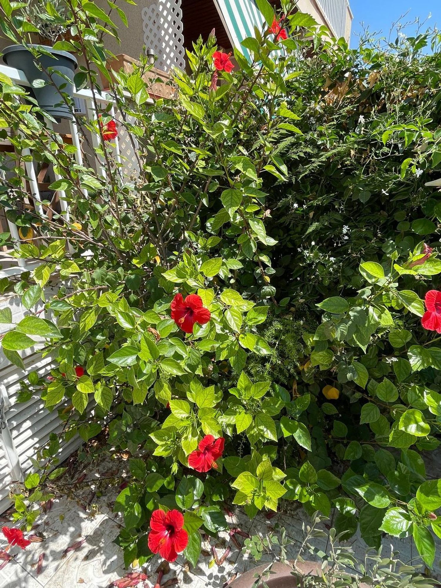 Piso en calle de les Ones, 2 - Foto 4