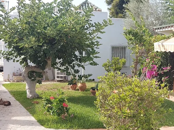 Casa o chalet independiente en Avenida del Mediterráneo, 198 - Foto 22