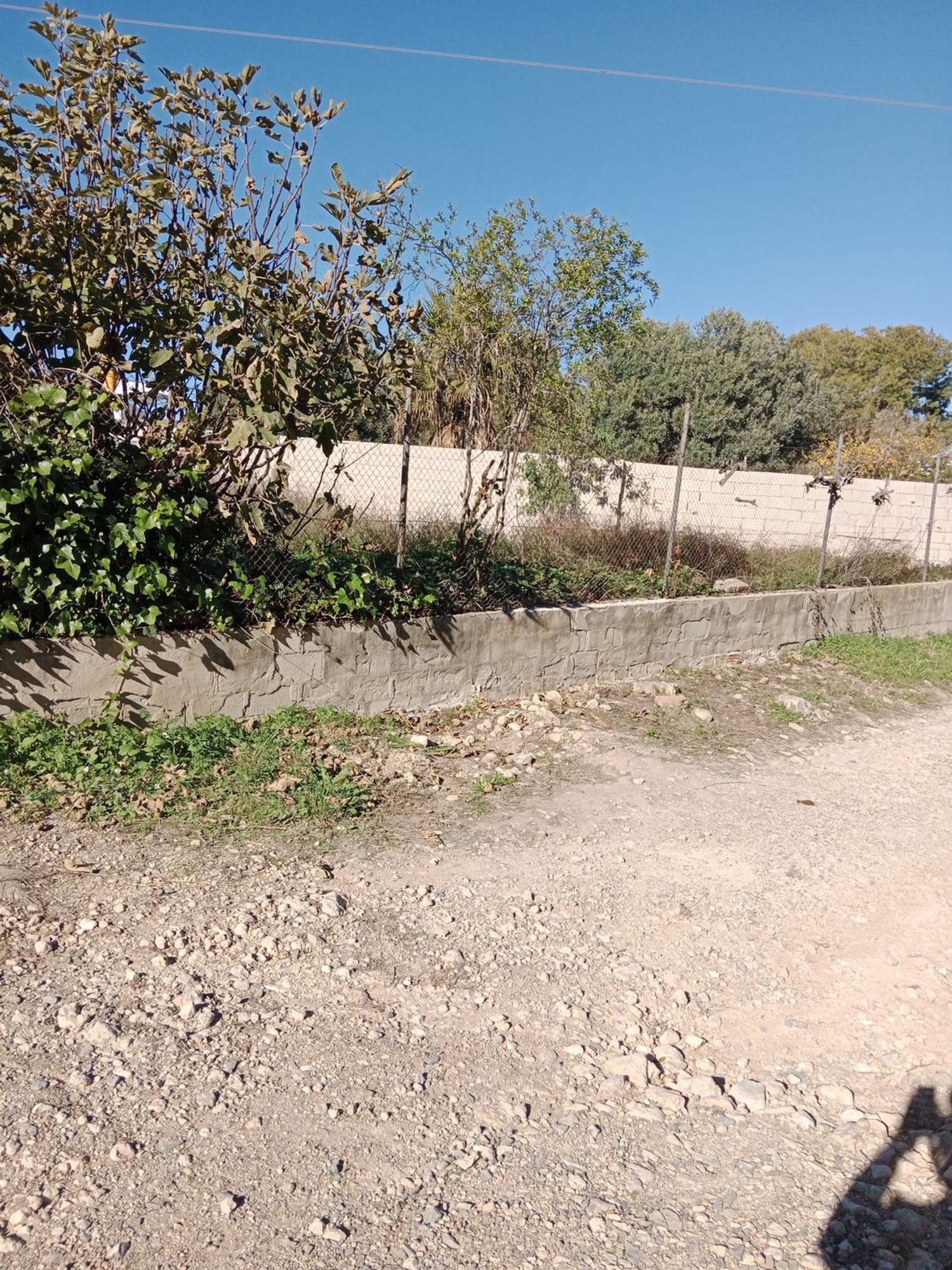 Finca rústica en camino de Bayarri, 92 PoligonoR - Foto 3