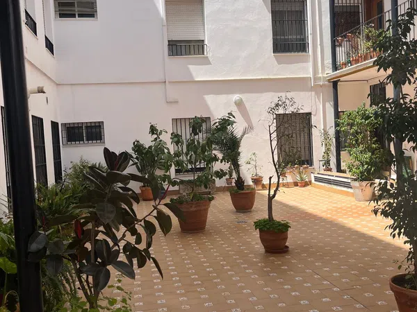 Piso en Calle Pozo, 17, Feria - Foto 38