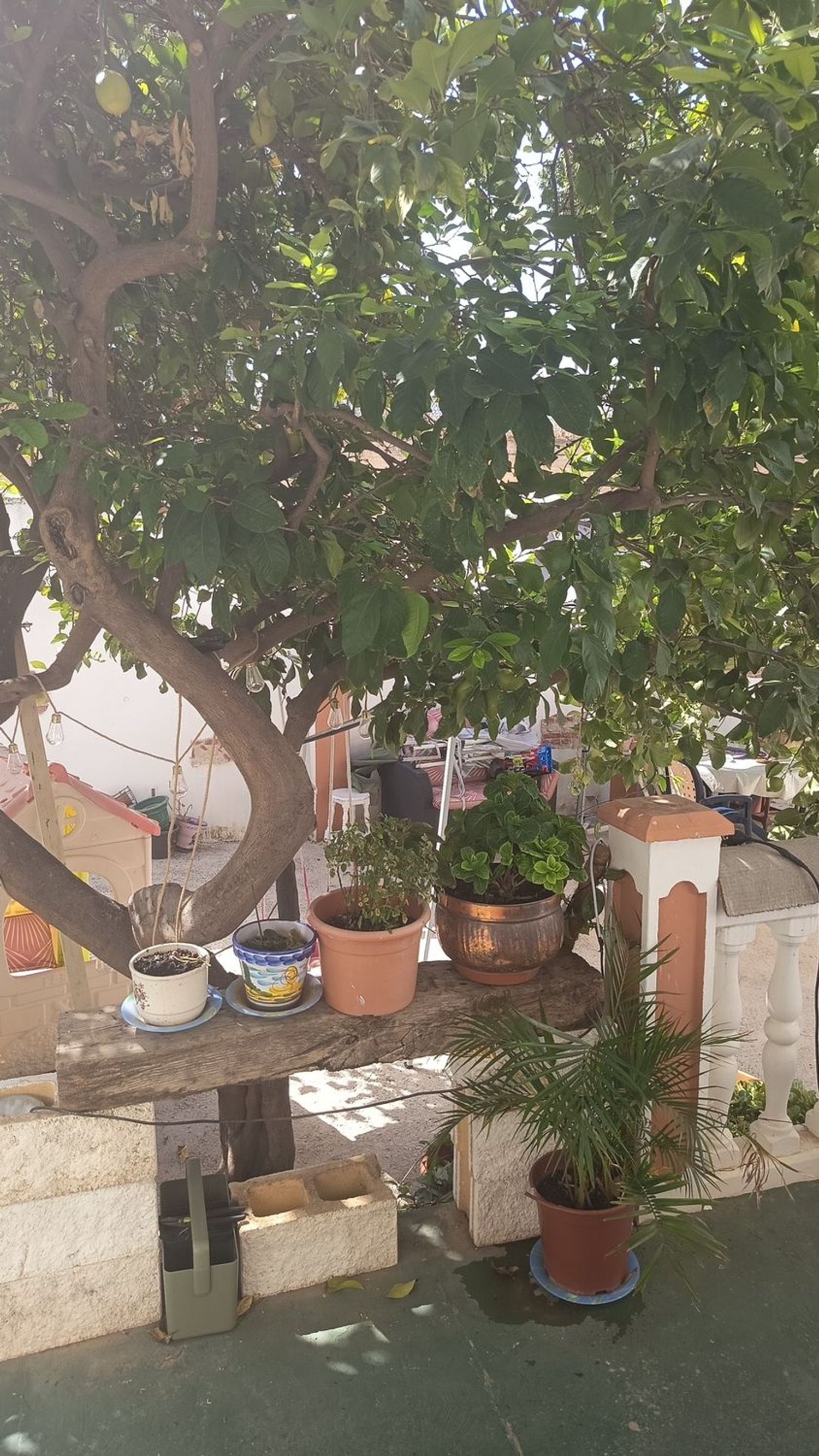 Casa o chalet independiente en Calle la Maltesa, 60, Fuente Alegre - El Chaparral - Los Morales - Foto 26