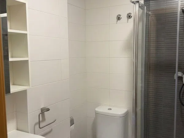 Chalet adosado en Prau de la Fuente, 5, La Felguera, La Felguera - Foto 10