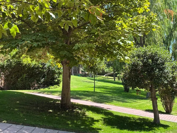 Piso en El Burgo, El Burgo - Foto 21