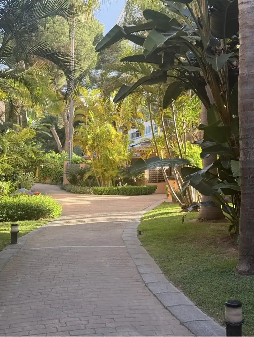 Piso en  Avenida Jacaranda 74 - Foto 5