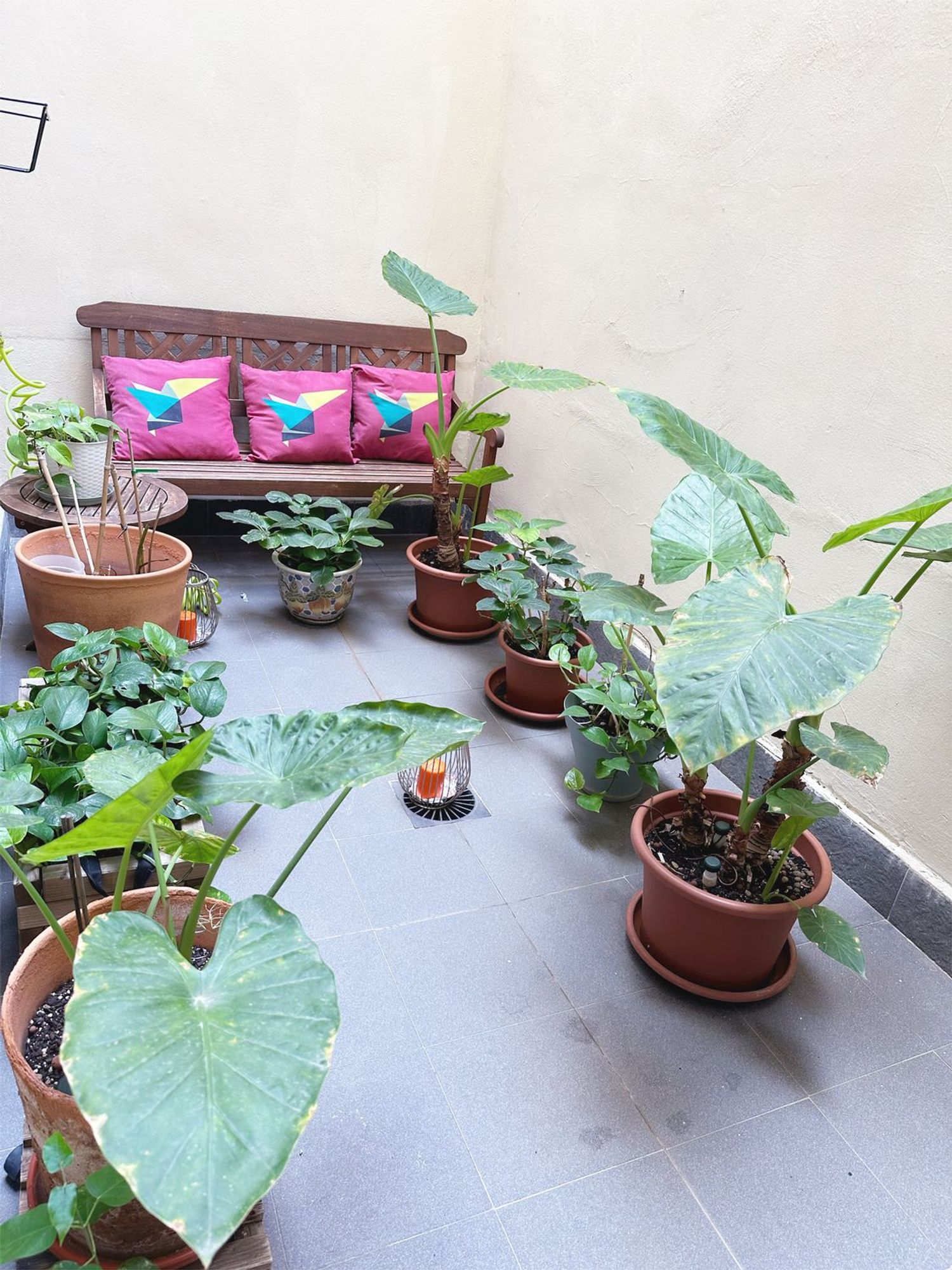 Piso en Barrio El Pla del Remei - Foto 4