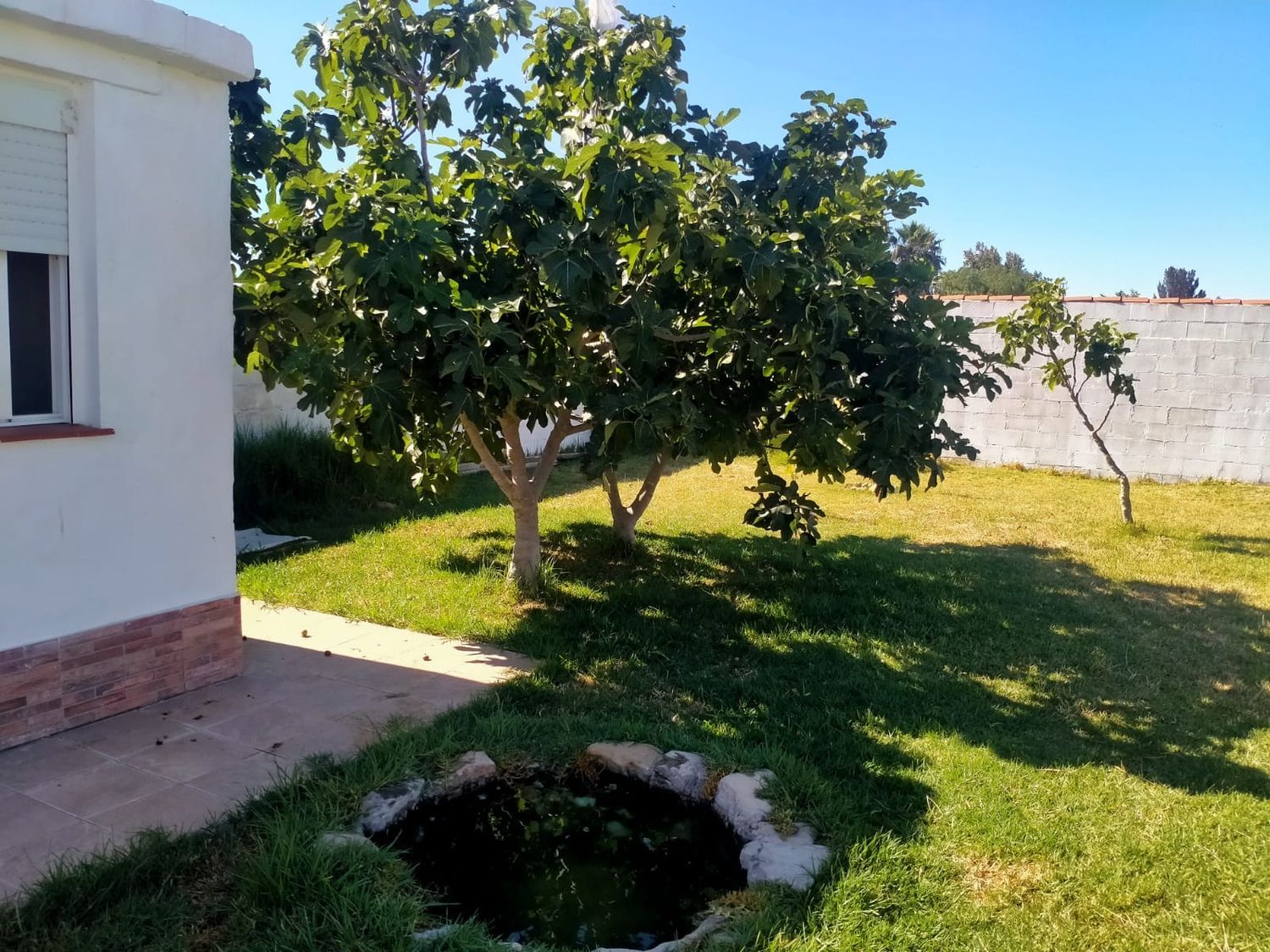 Casa independiente en Hijuela s/n - Foto 2