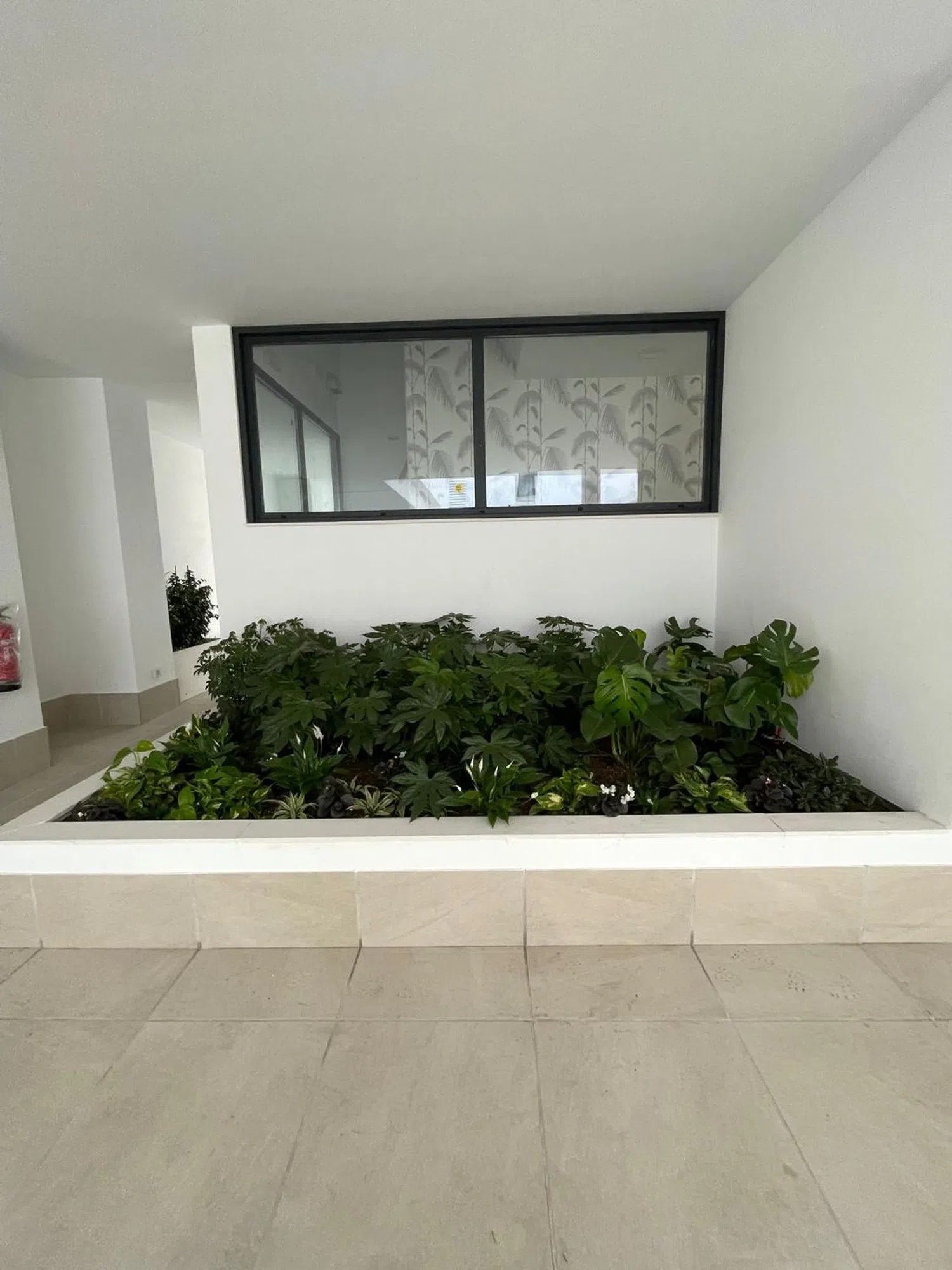 Ático en avenida del Comandante Benítez, 6 - Foto 24