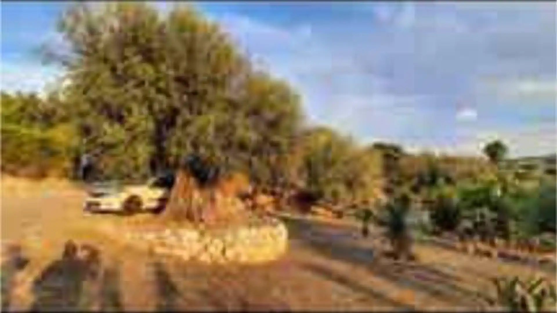 Chalet en La Viñuela - Foto 9