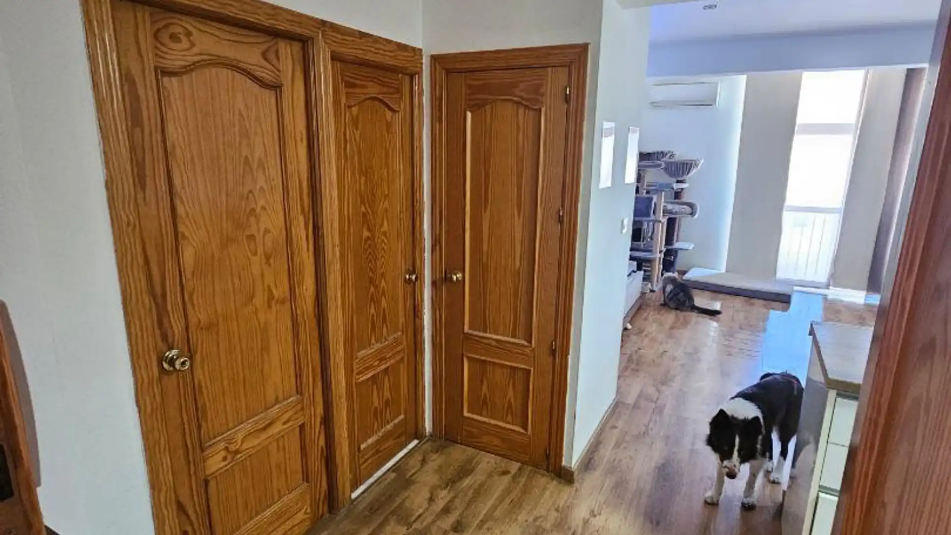 Piso en  Camino del Pilar 1 - Foto 24