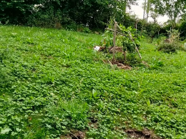 Casa de pueblo en Santo Emiliano, 2, Sta.Marina - Polígono, Sta.Marina - Polígono - Foto 20